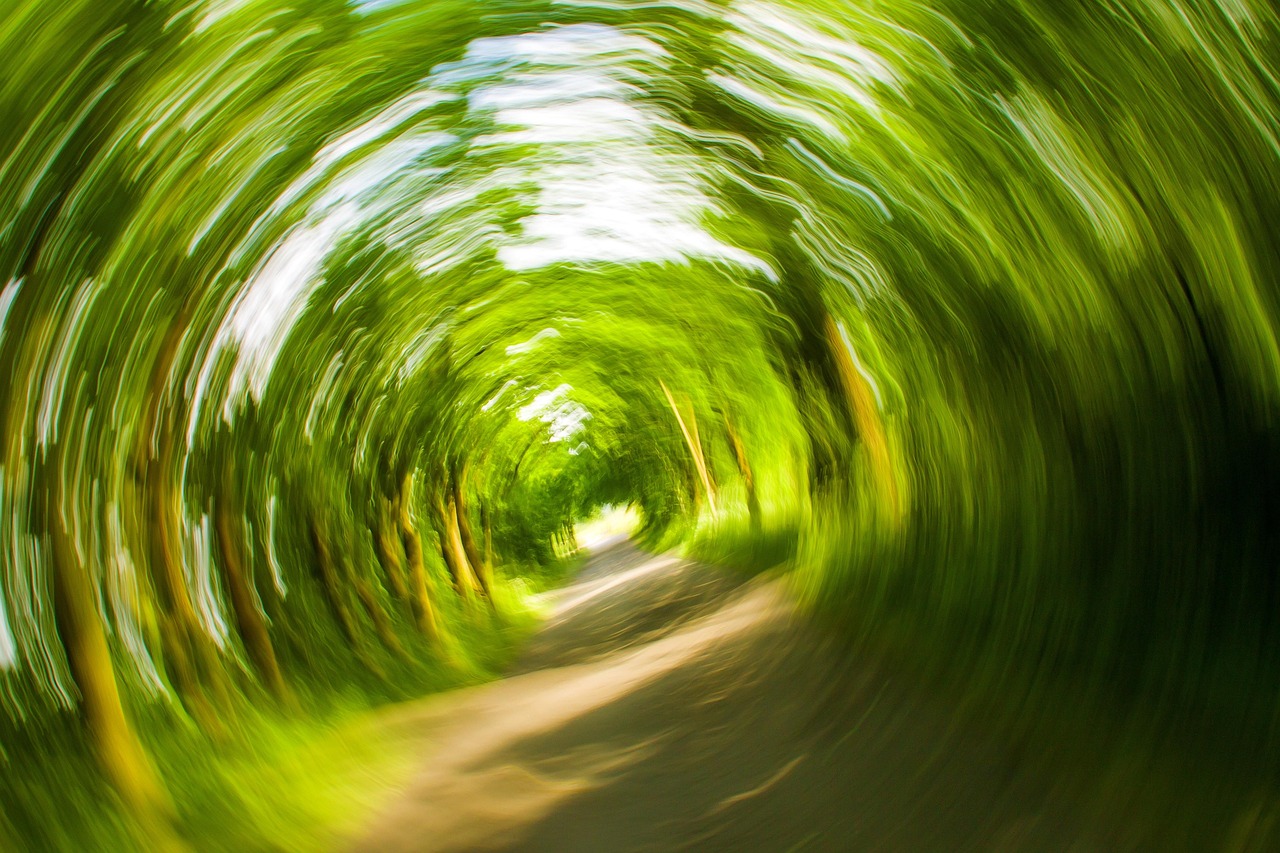 vertigo, dizziness, balance, trees, path, nature, whirl, rotate, dizzy, fall over, swirl, free background, nausea
